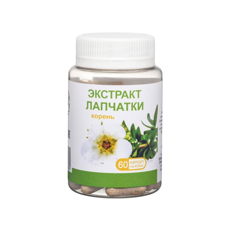 Valge Marani juure ekstrakti kapslid N60 400mg Olimed