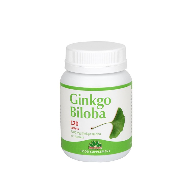 Niksen Ginkgo biloba N120